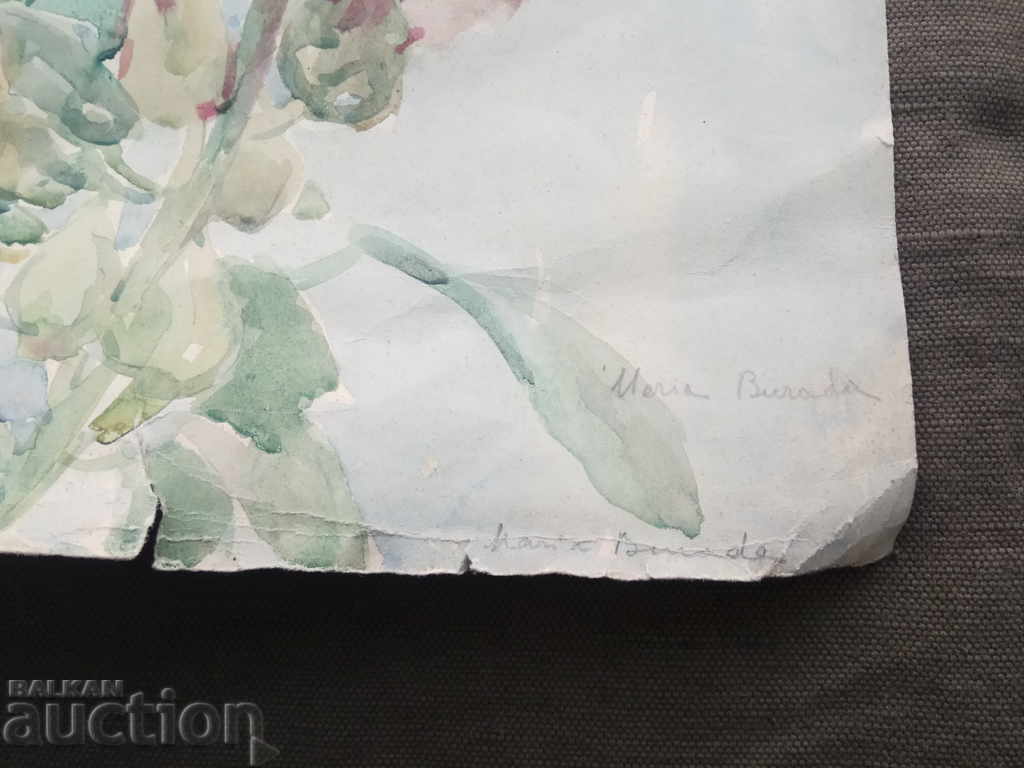 Maria Burada cu preț 280.00 BGN | € 143.16 Maria Burada cu preț 280.00 BGN | € 143.16