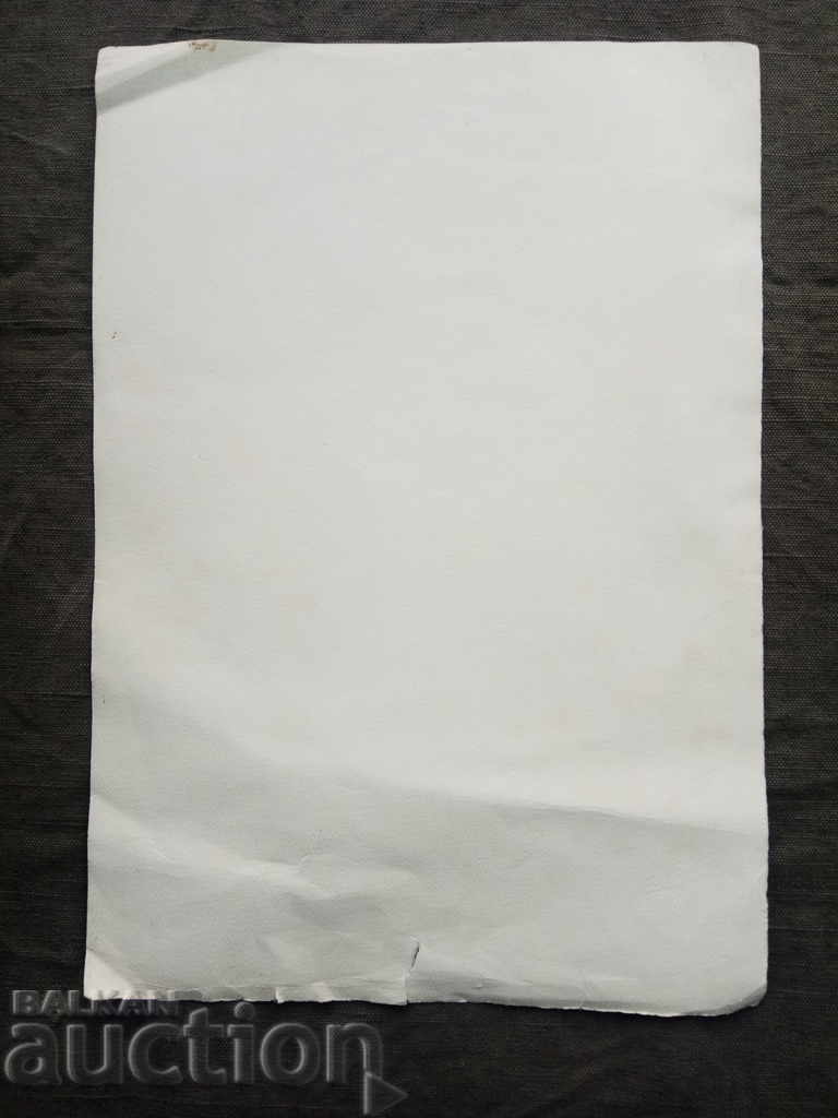 Licitație Maria Burada Licitație Maria Burada