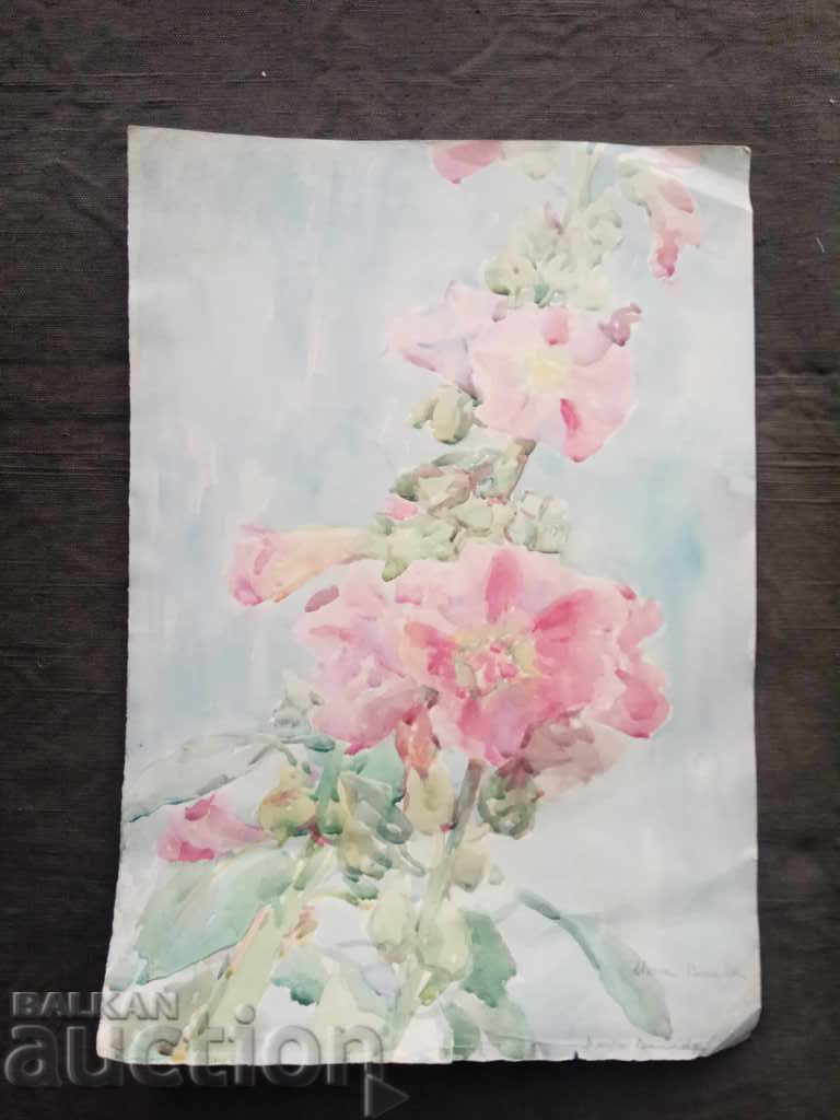 Maria Burada Maria Burada