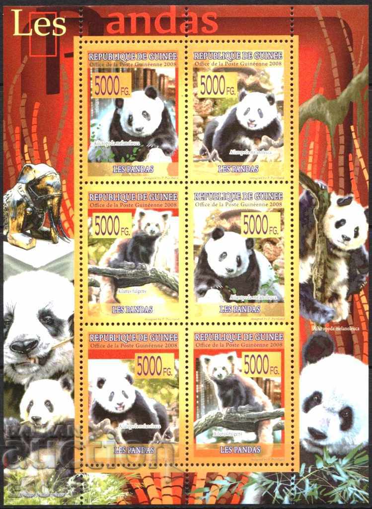 Чисти марки Фауна Панди  2008 от Гвинея
