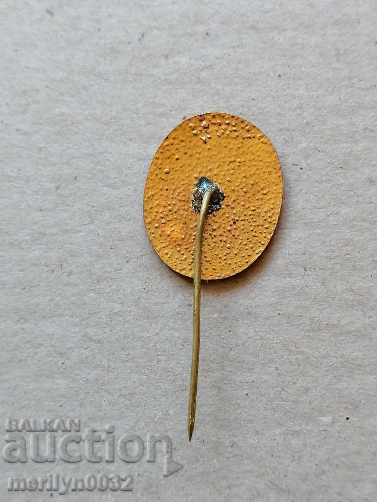 Environmental Badge Medal Badge Badge - 5