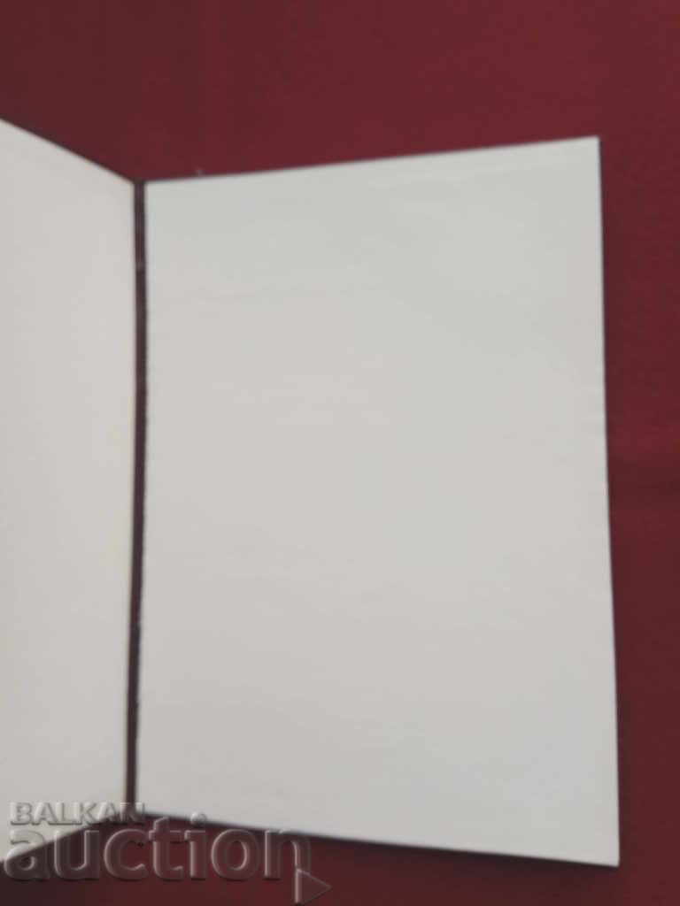 XIV Congresul extraordinar al PA 1990: suveniruri - 5