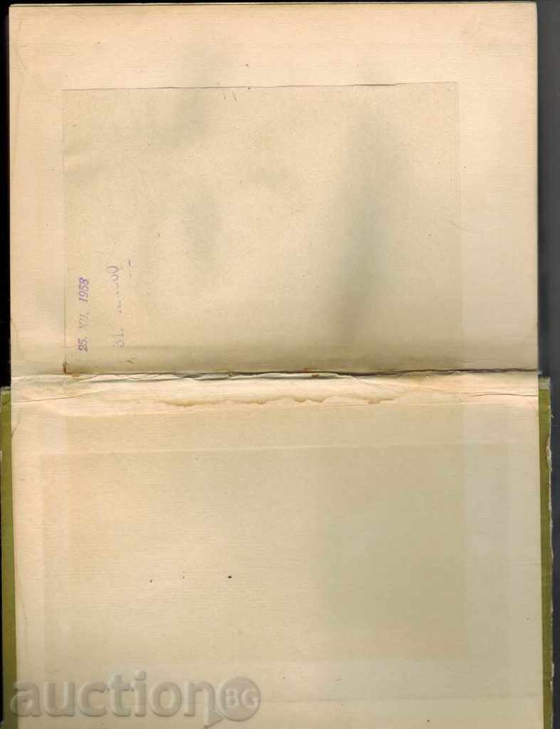 Auction GROWTH - PART 1 - G. KOYNOV Auction GROWTH - PART 1 - G. KOYNOV