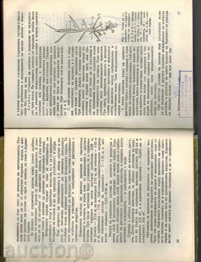 GROWTH - PART 1 - G. KOYNOV - 5 GROWTH - PART 1 - G. KOYNOV - 5