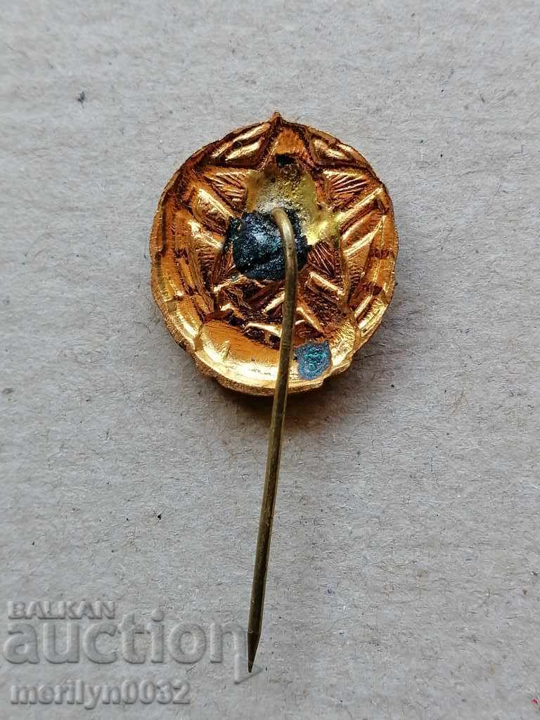 Auction  Breastplate DOSO Medal Badge