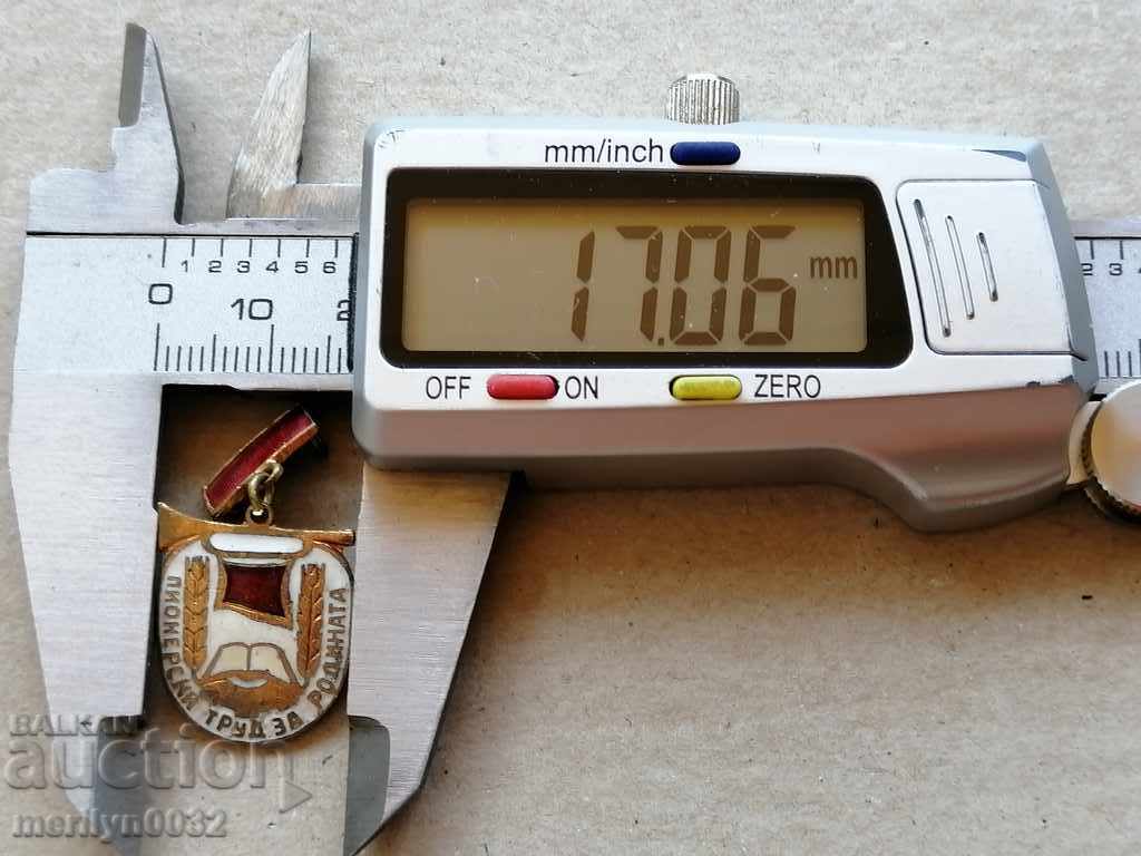 Ετικέτα γενεθλίων Εργασία Pioneer για το σήμα μετάλλων της πατρίδας με τιμή 28.00 BGN | € 14.32