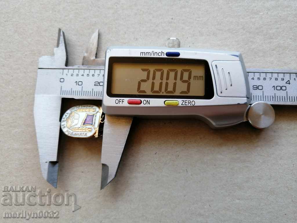 Παράδοση Ετικέτα γενεθλίων Εργασία Pioneer για το σήμα μετάλλων της πατρίδας