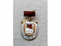 Badge de naștere Lucrări de pionier pentru insigna de medalii a patriei