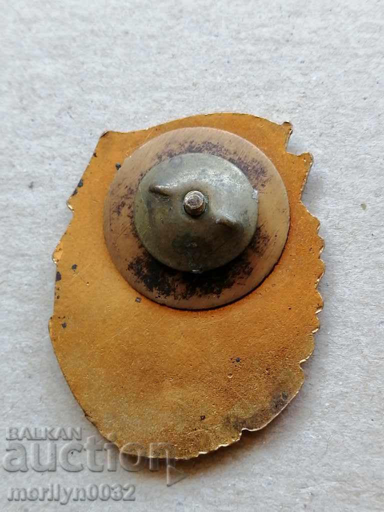 Breastplate Badge of Honor medal badge - 5 Breastplate Badge of Honor medal badge - 5