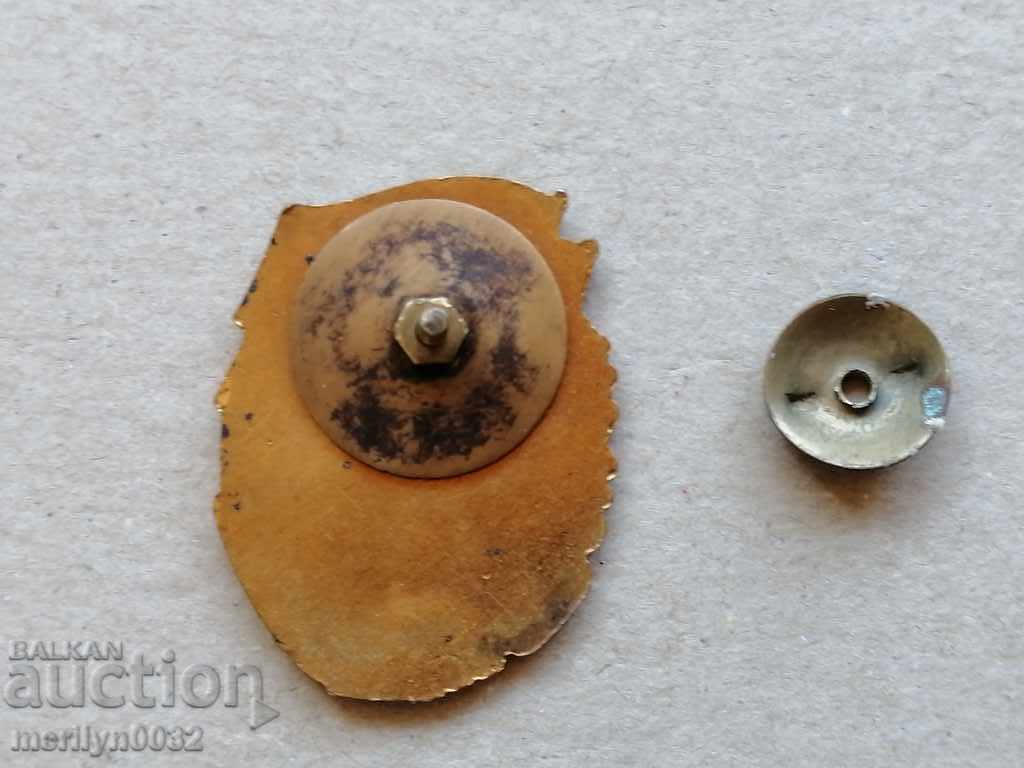 Breastplate Badge of Honor medal badge - 6 Breastplate Badge of Honor medal badge - 6