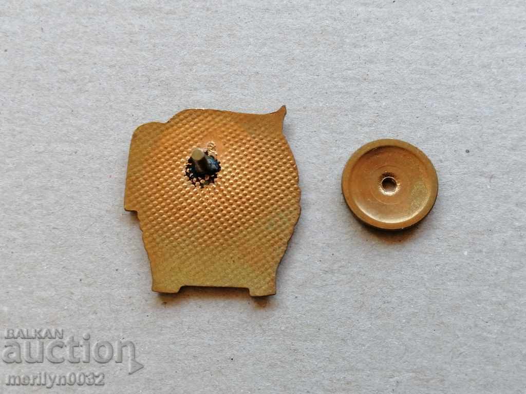 Delivery of Badge of Excellence MVD Medal Badge Delivery of Badge of Excellence MVD Medal Badge