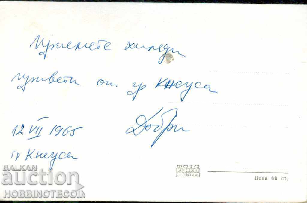 CARD GENERAL APPEARANCE before 1960 with price 9.99 BGN | € 5.11