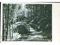 BRIDGE OF SIGHS 1943 UNUSED CARD COVER