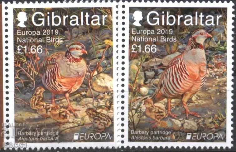 Clean Brands Europe SEPT Birds 2019 from Gibraltar