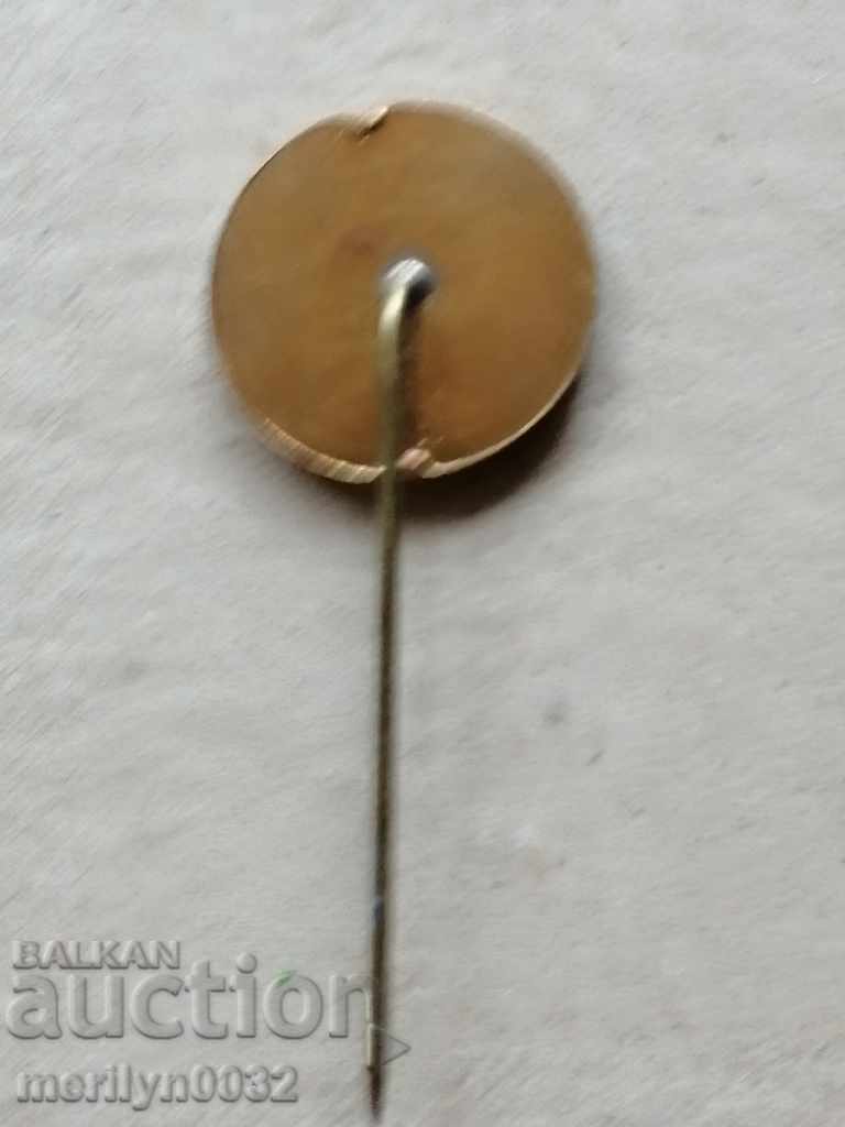 Auction  Badge of Excellence Medal Badge