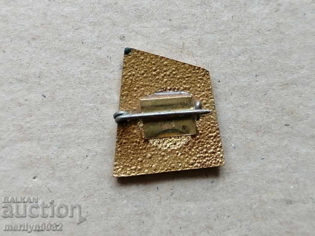 Breastplate Young Master Medal Badge with price 43.00 BGN | € 21.99