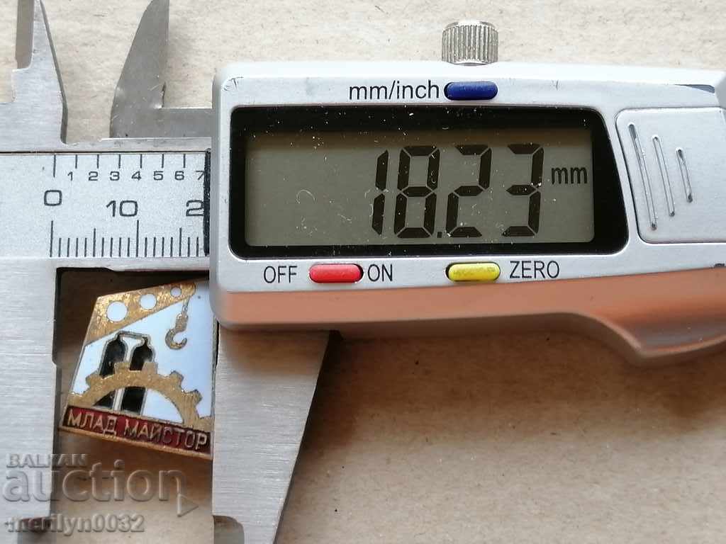 Auction  Breastplate Young Master Medal Badge