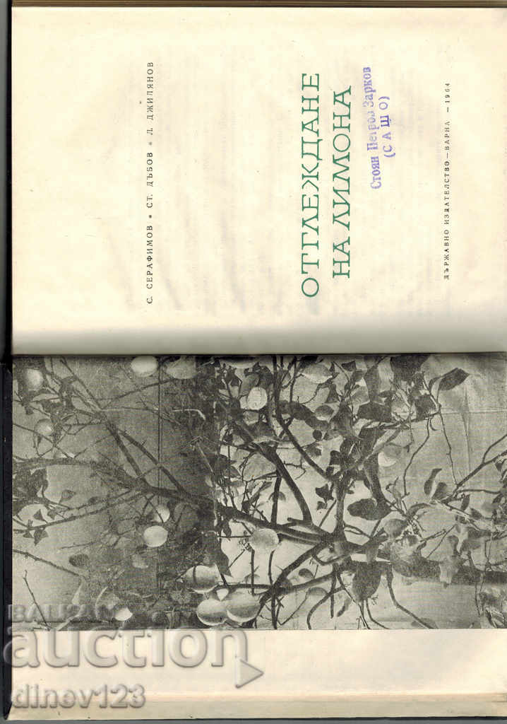 Licitație TRATAMENT LEMON - S. SERAFIMOV Licitație TRATAMENT LEMON - S. SERAFIMOV