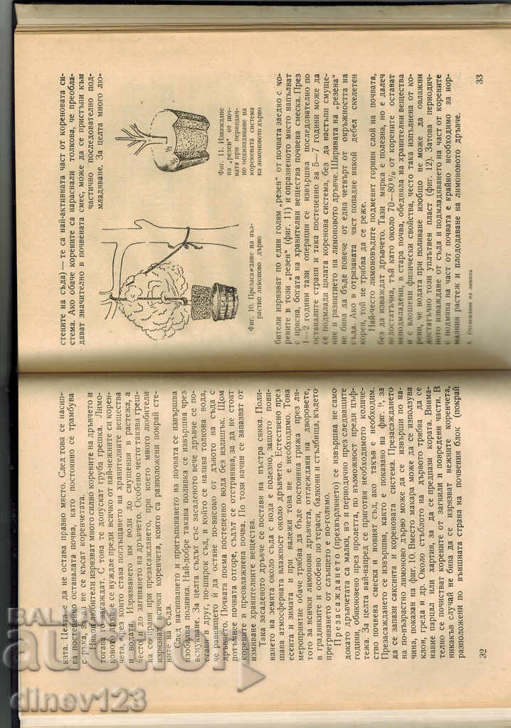 Livrarea TRATAMENT LEMON - S. SERAFIMOV Livrarea TRATAMENT LEMON - S. SERAFIMOV