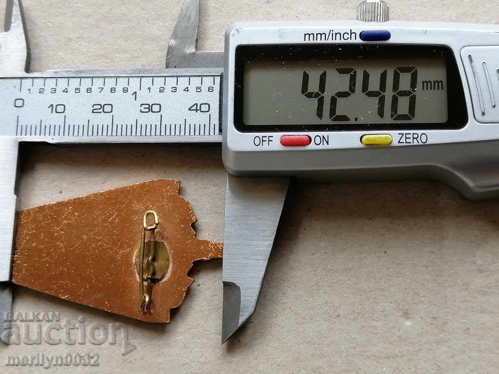 Buchenwald Medal Badge Medal - 6 Buchenwald Medal Badge Medal - 6