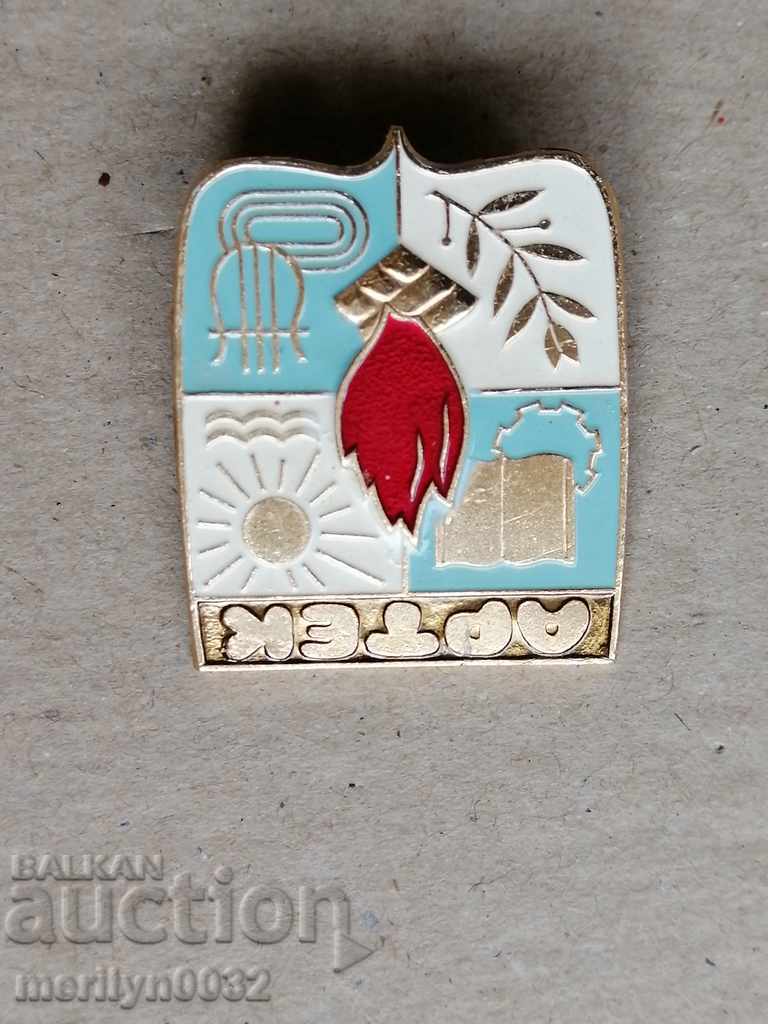 Artek Medal Badge Badge - 5 Artek Medal Badge Badge - 5