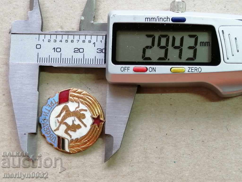 Breastplate Medal Badge Badge - 6 Breastplate Medal Badge Badge - 6