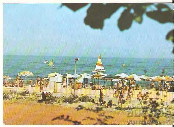 Картичка  България  Варна  Златни пясъци Плажът 20*
