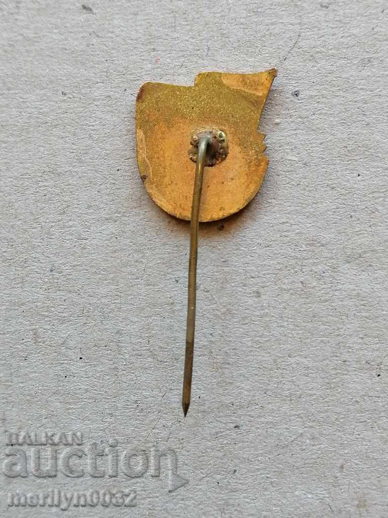 Нагръден пчеларски знак медал значка - 5 Нагръден пчеларски знак медал значка - 5