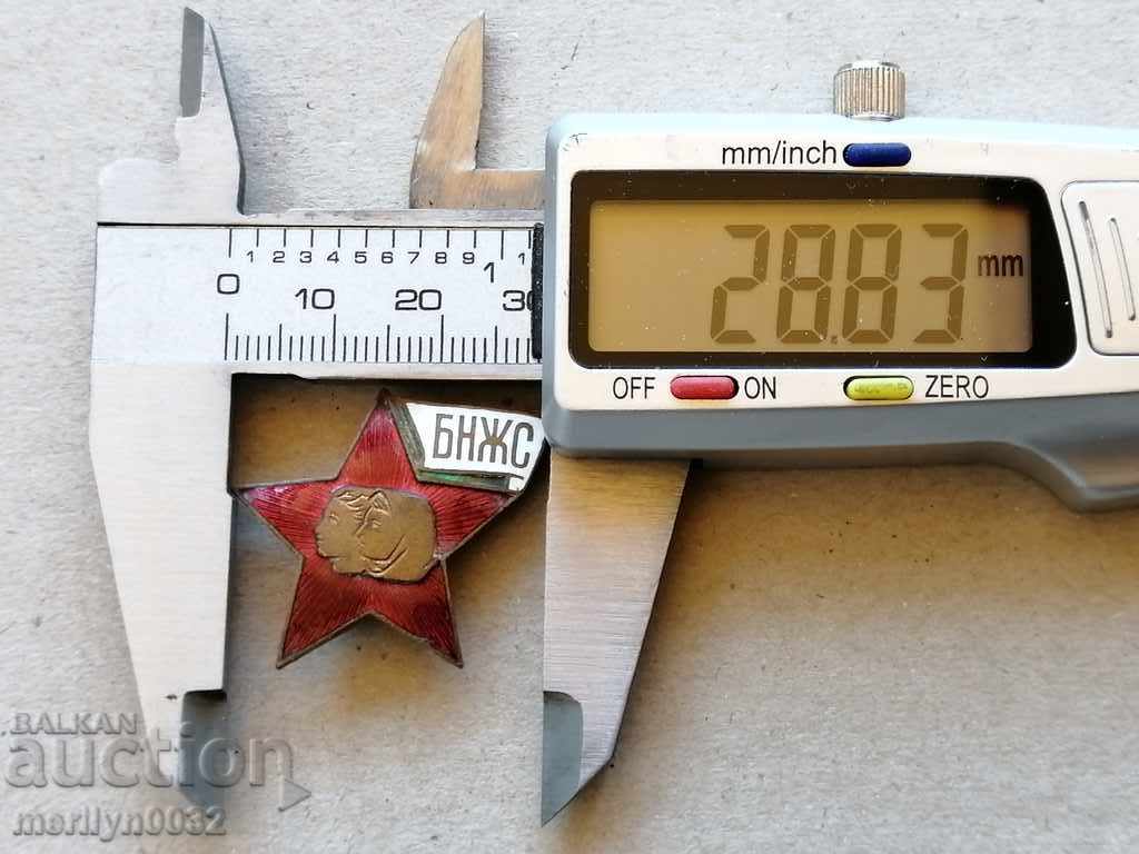 Auction Breastplate Bulgarian National Women's Union Medal Badge Auction Breastplate Bulgarian National Women's Union Medal Badge