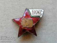 Нагръден знак Български Народен Женски Съюз медал значка