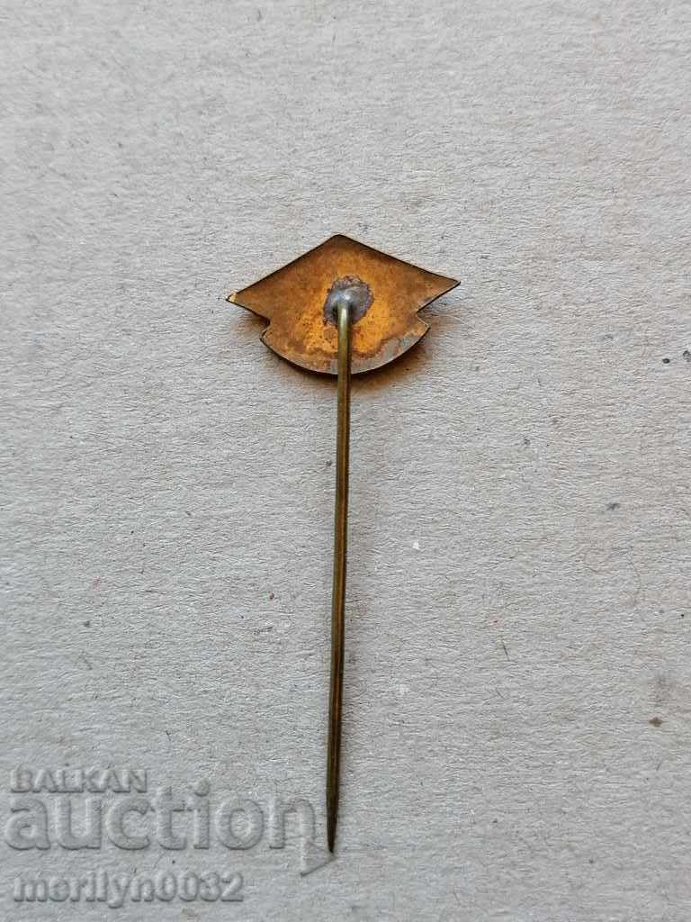 Аукцион Нагръден знак Ски факторъ емайл медал значка Аукцион Нагръден знак Ски факторъ емайл медал значка