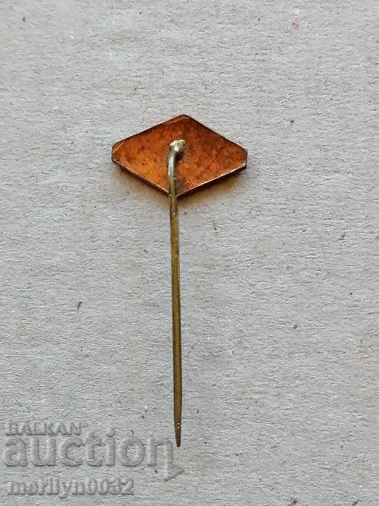 Auction Breast badge Ski factor enamel medal badge Auction Breast badge Ski factor enamel medal badge