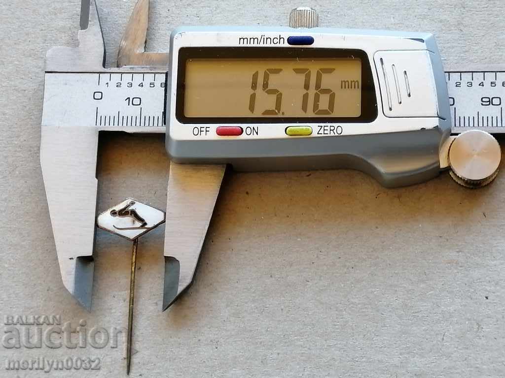 Delivery of Breast badge Ski factor enamel medal badge Delivery of Breast badge Ski factor enamel medal badge