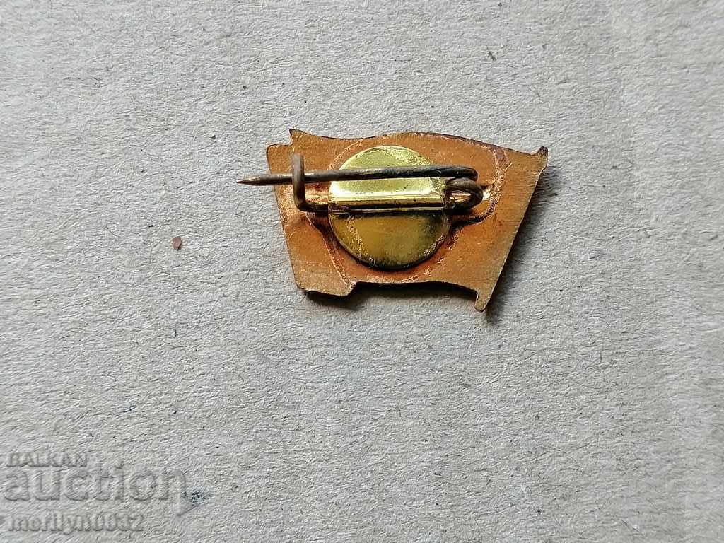 Delivery of Badge Badge Enamel Email Medal Badge