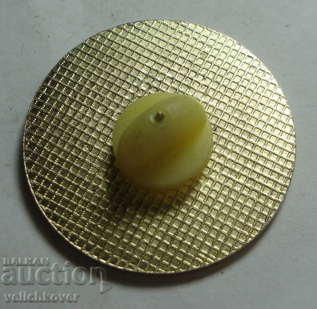 26317 USA souvenir sign Hawaii pin of the 80's with price 2.00 BGN | € 1.02 26317 USA souvenir sign Hawaii pin of the 80's with price 2.00 BGN | € 1.02