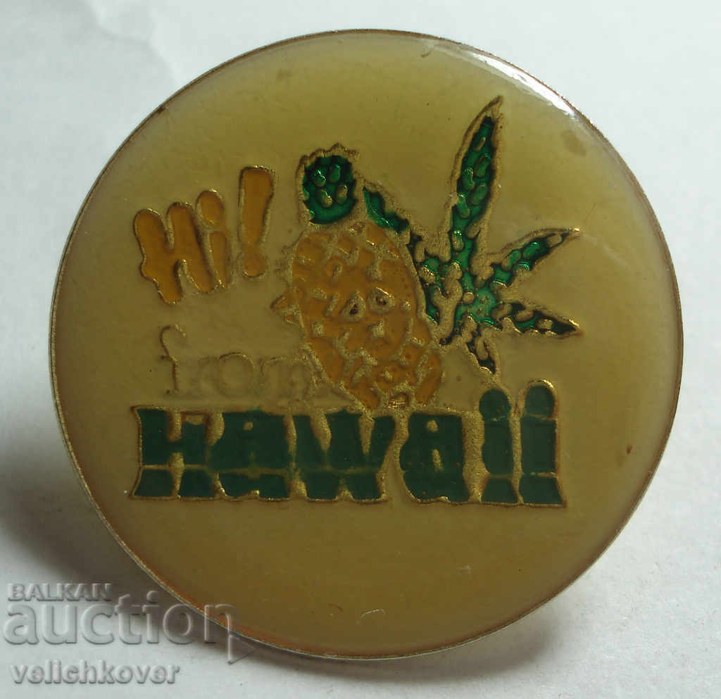 26317 САЩ  сувенирен знак Хавай на пин 80-те г.