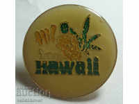 26317 ΗΠΑ σουβενίρ σημάδι Χαβάης pin της δεκαετίας του '80