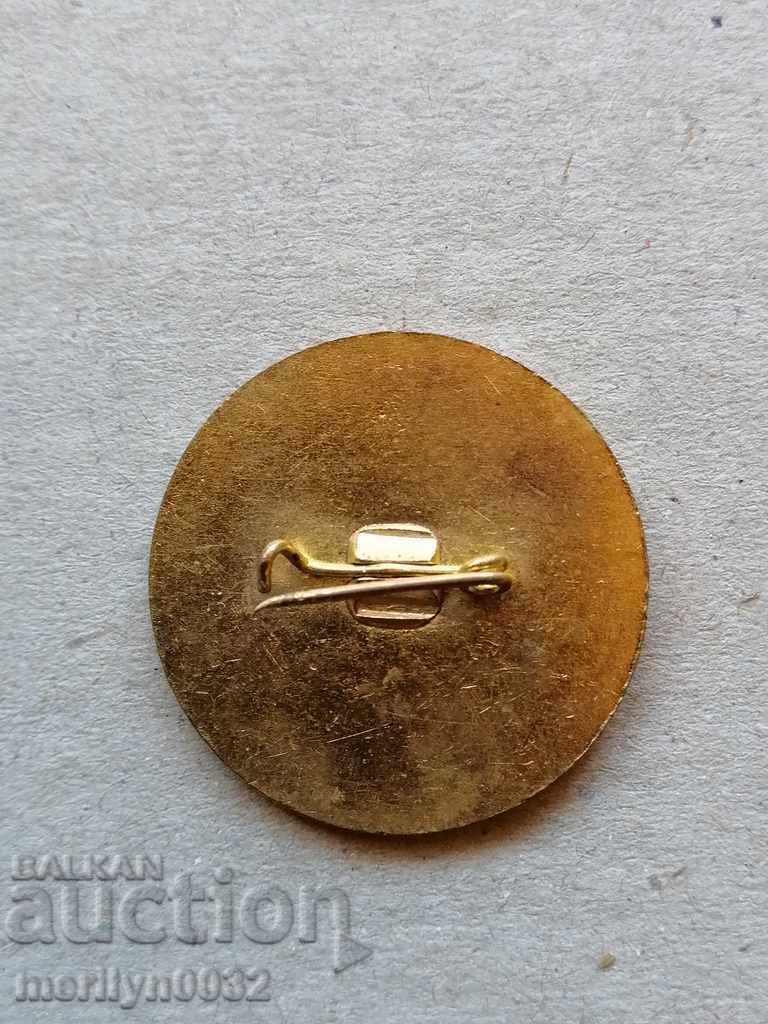 Δημοπρασία Πίσω πλάκα από σήμα μετάλλων σμάλτου