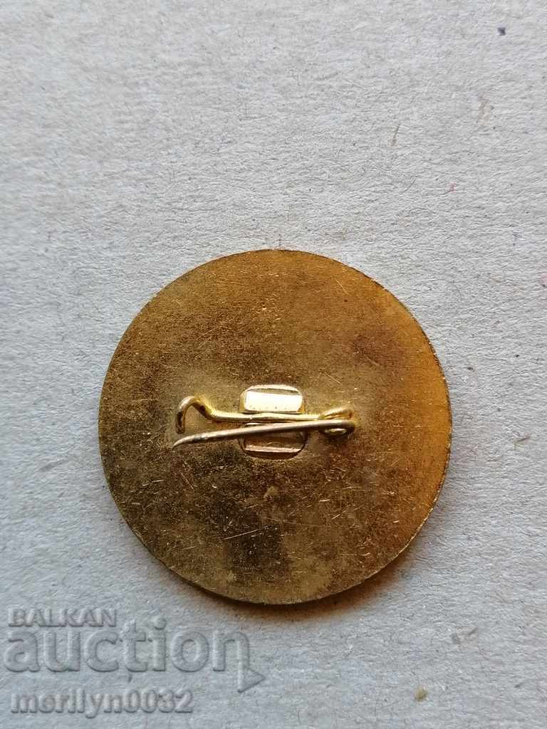 Πίσω πλάκα από σήμα μετάλλων σμάλτου - 5