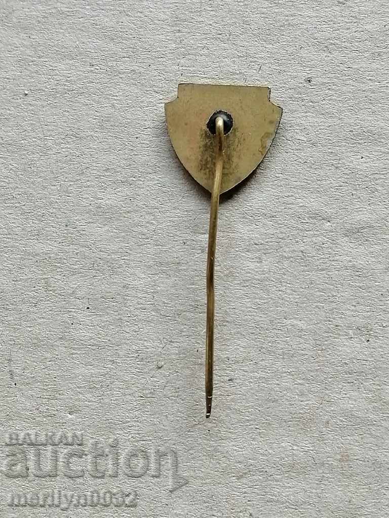 Аукцион Нагръден знак СД емайл медал значка Аукцион Нагръден знак СД емайл медал значка