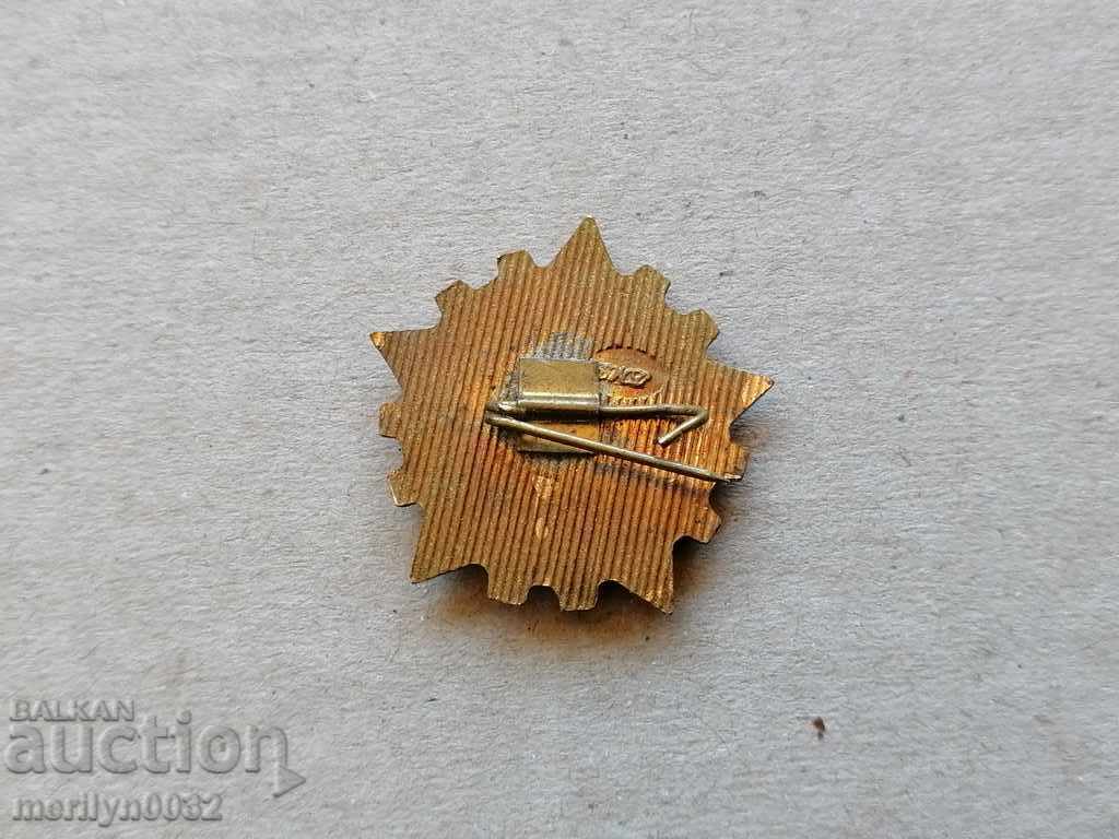 Breastplate Industry Excellence Email Medal Badge with price 39.00 BGN | € 19.94 Breastplate Industry Excellence Email Medal Badge with price 39.00 BGN | € 19.94