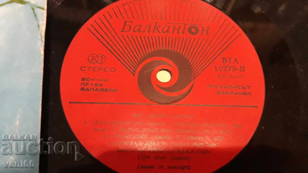 Auction VTA 10279 Mango Jerry Auction VTA 10279 Mango Jerry