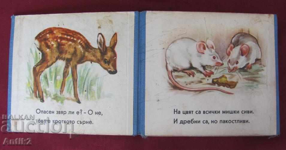 60s Old Cardboard Children's Booklet 2 pieces - 5 60s Old Cardboard Children's Booklet 2 pieces - 5