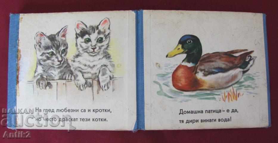 60s Old Cardboard Children's Booklet 2 pieces - 7 60s Old Cardboard Children's Booklet 2 pieces - 7