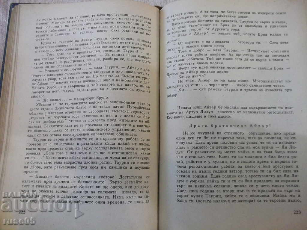 Delivery of To the New Beach - Willis Latsis Book - 548 pages.