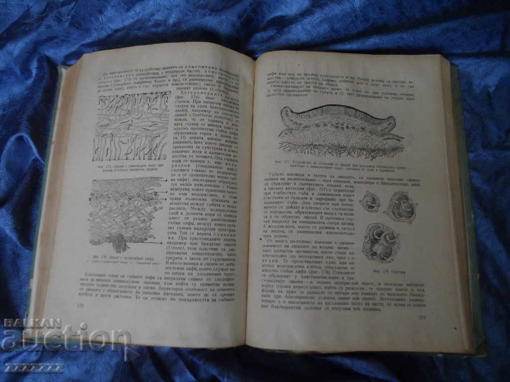 Livrarea Cartea BOTANĂ - Boris Kitanov 1962