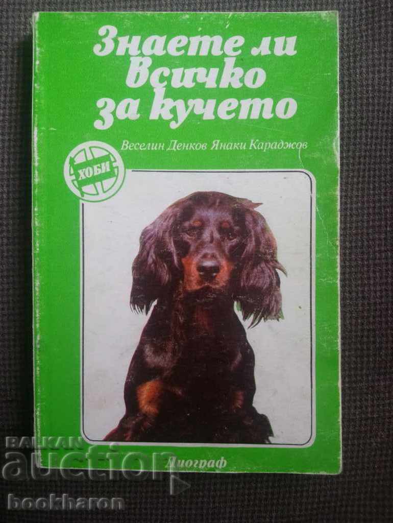 Do you know everything about the dog?