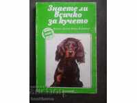 Știi totul despre câine?