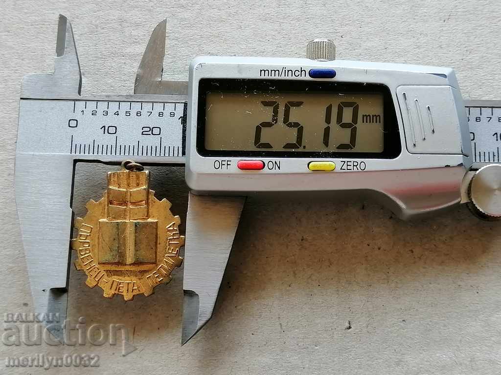 Auction  Breastplate with Email Leader 5th Five Year Medal Badge