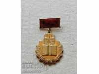 Breastplate with Email Leader 5th Five Year Medal Badge